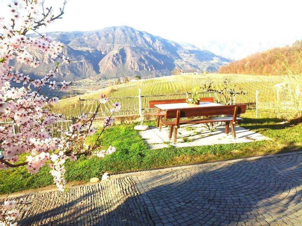 Maison d'hôtes Landhaus Weingut à Cornaiano Extérieur photo