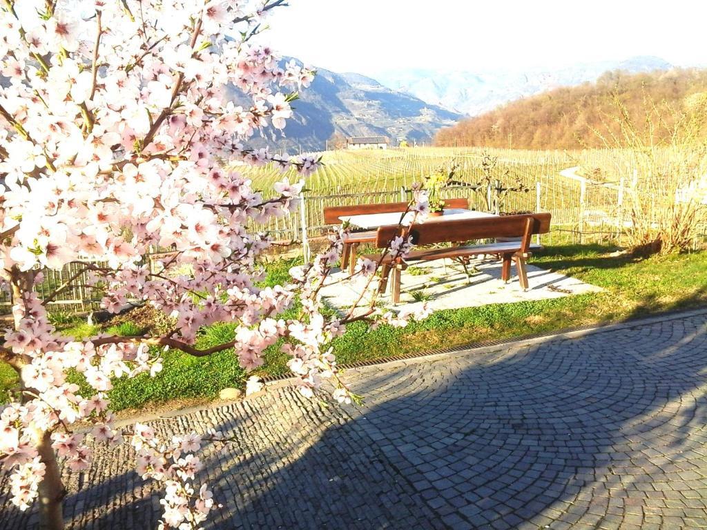 Landhaus Weingut Cornaiano Extérieur photo